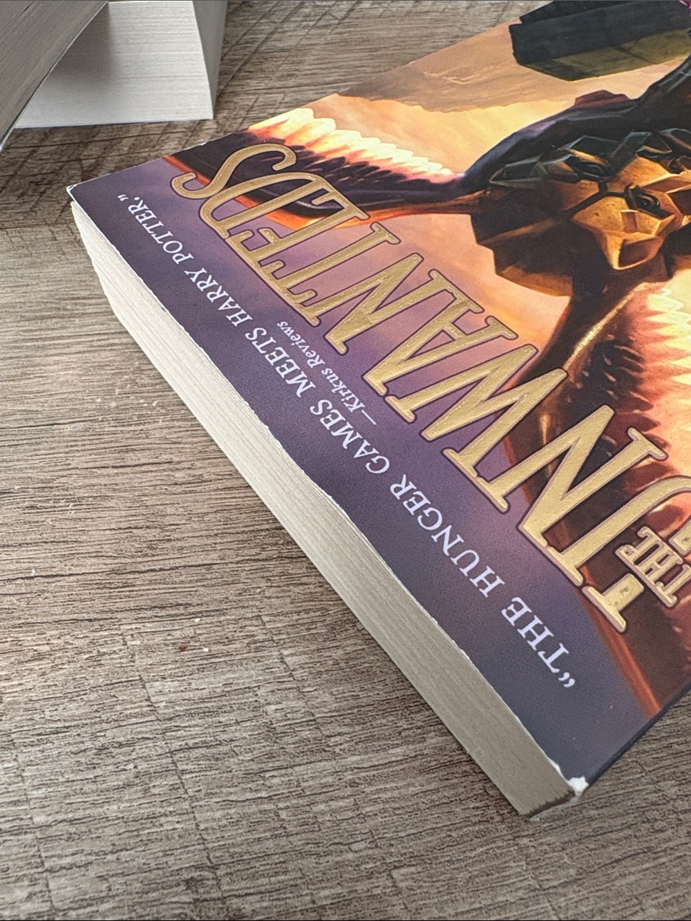 The Unwanteds Book Series by Lisa McMann Novel 1 2 3 Paperback - Picture 12 of 13